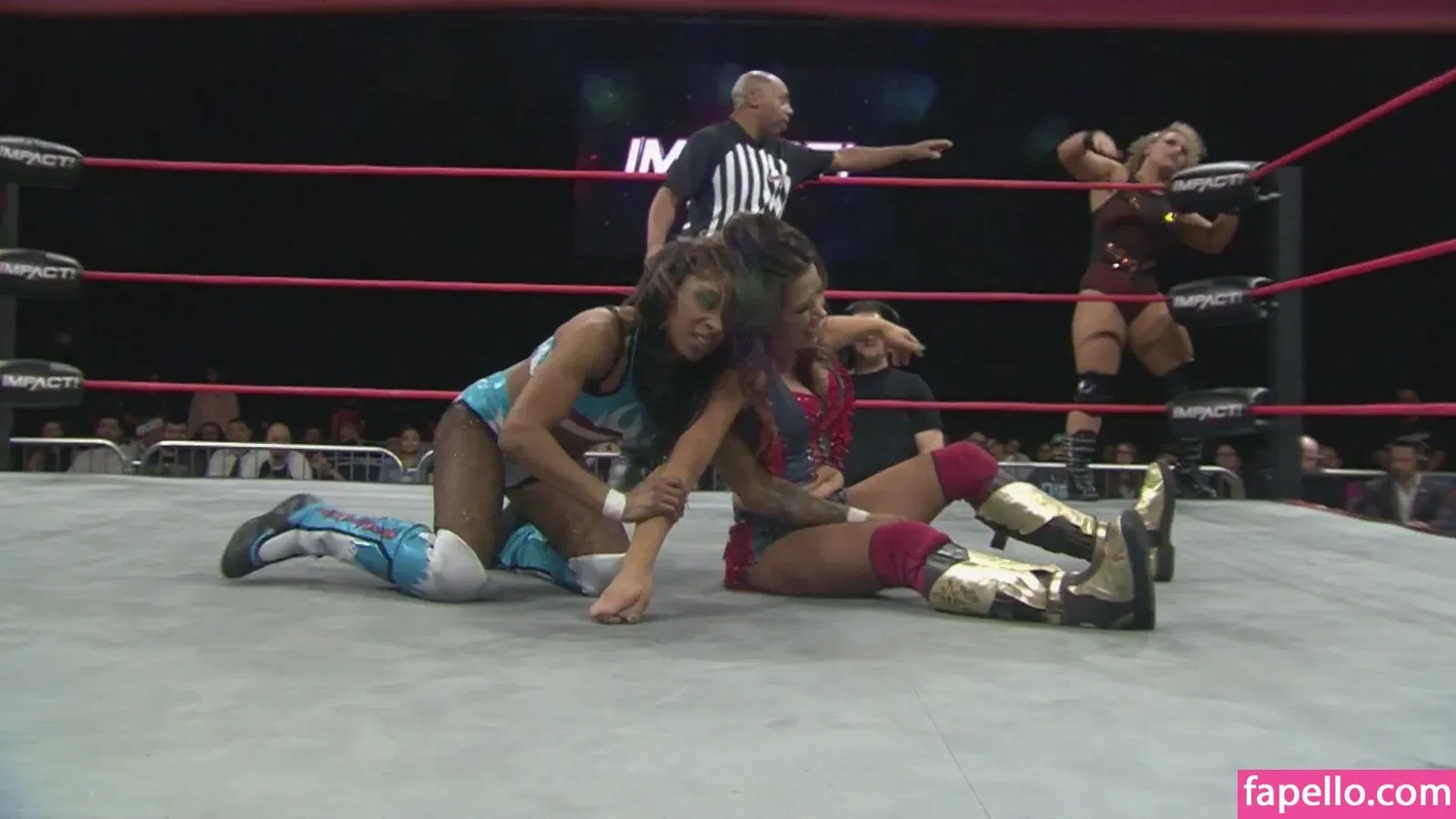 Mickie James / michelejames / themickiejames Onlyfans Photo Gallery 