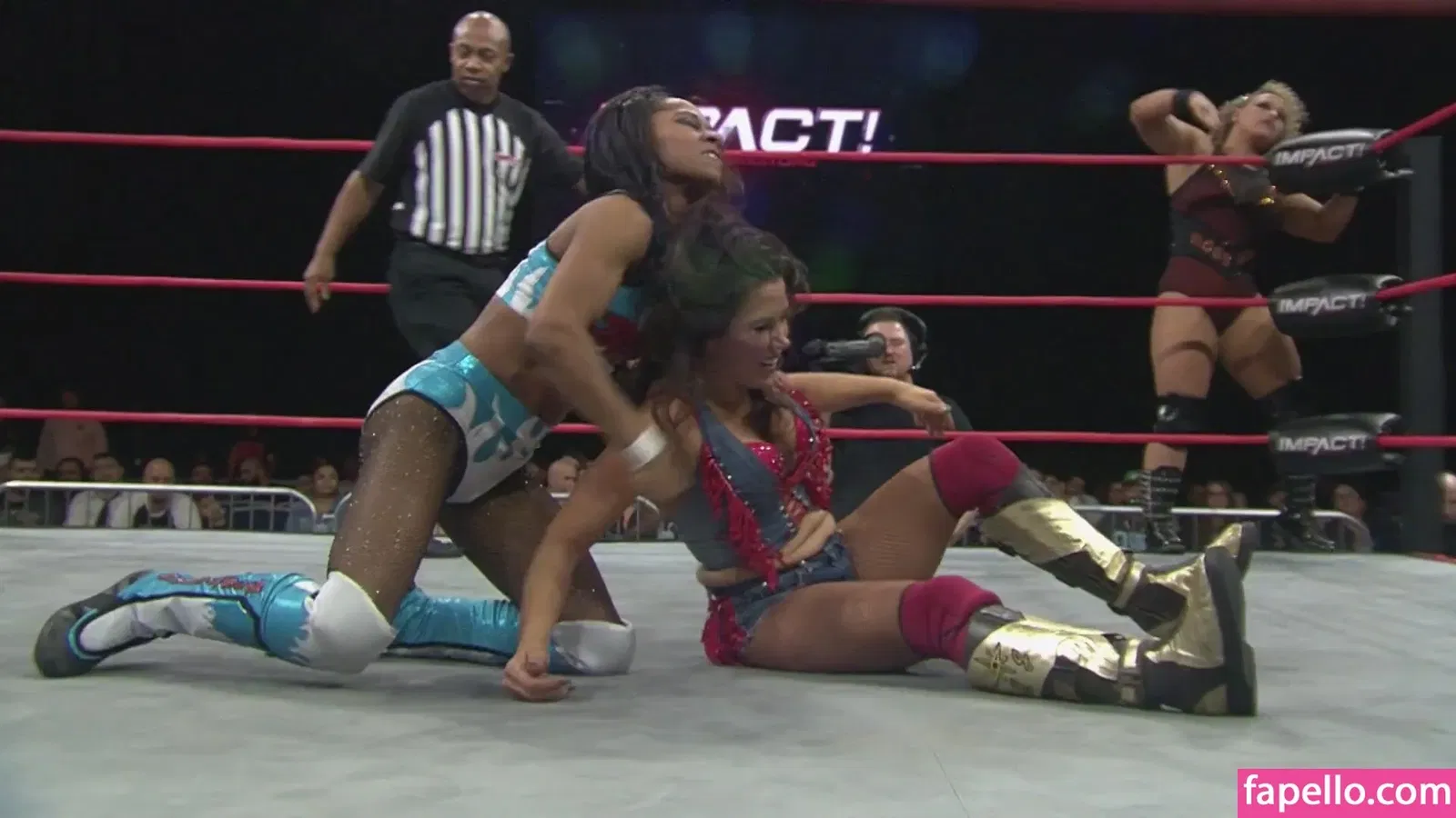 Mickie James / michelejames / themickiejames Onlyfans Photo Gallery 