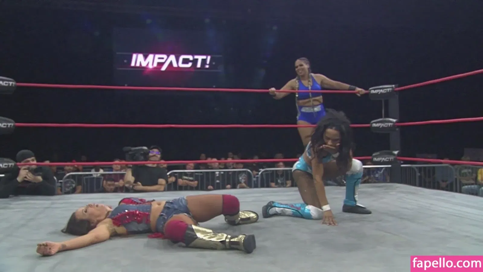 Mickie James / michelejames / themickiejames Onlyfans Photo Gallery 