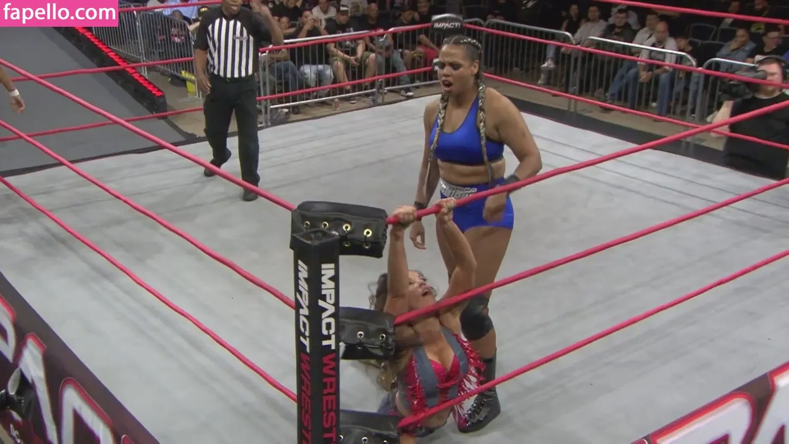 Mickie James / michelejames / themickiejames Onlyfans Photo Gallery 