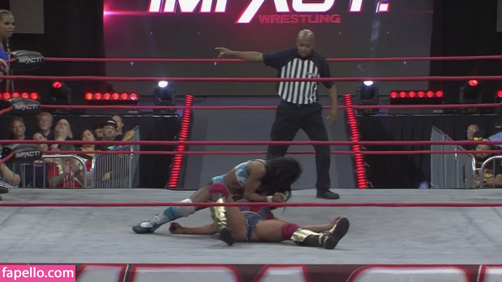 Mickie James / michelejames / themickiejames Onlyfans Photo Gallery 