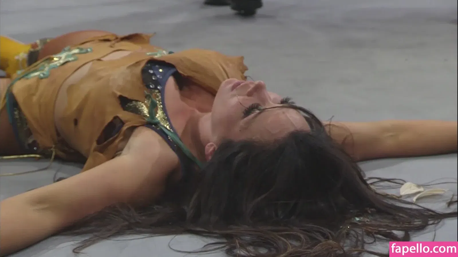 Mickie James / michelejames / themickiejames Onlyfans Photo Gallery 