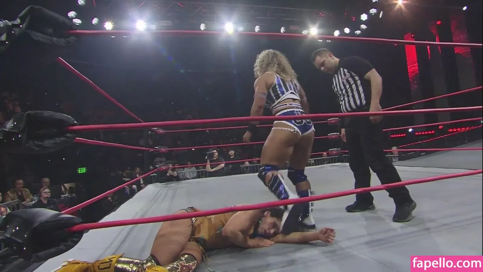 Mickie James / michelejames / themickiejames Onlyfans Photo Gallery 