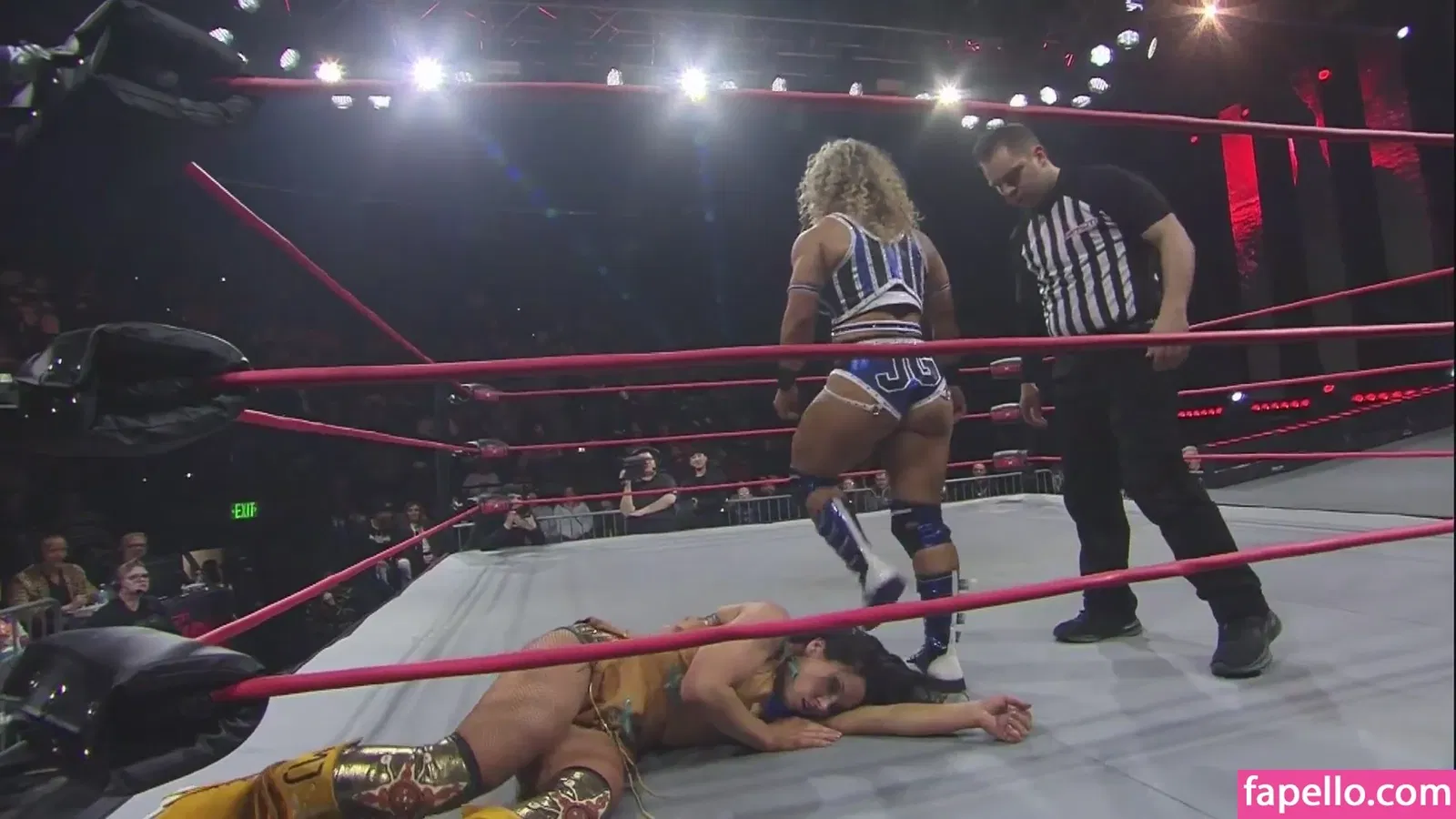 Mickie James / michelejames / themickiejames Onlyfans Photo Gallery 