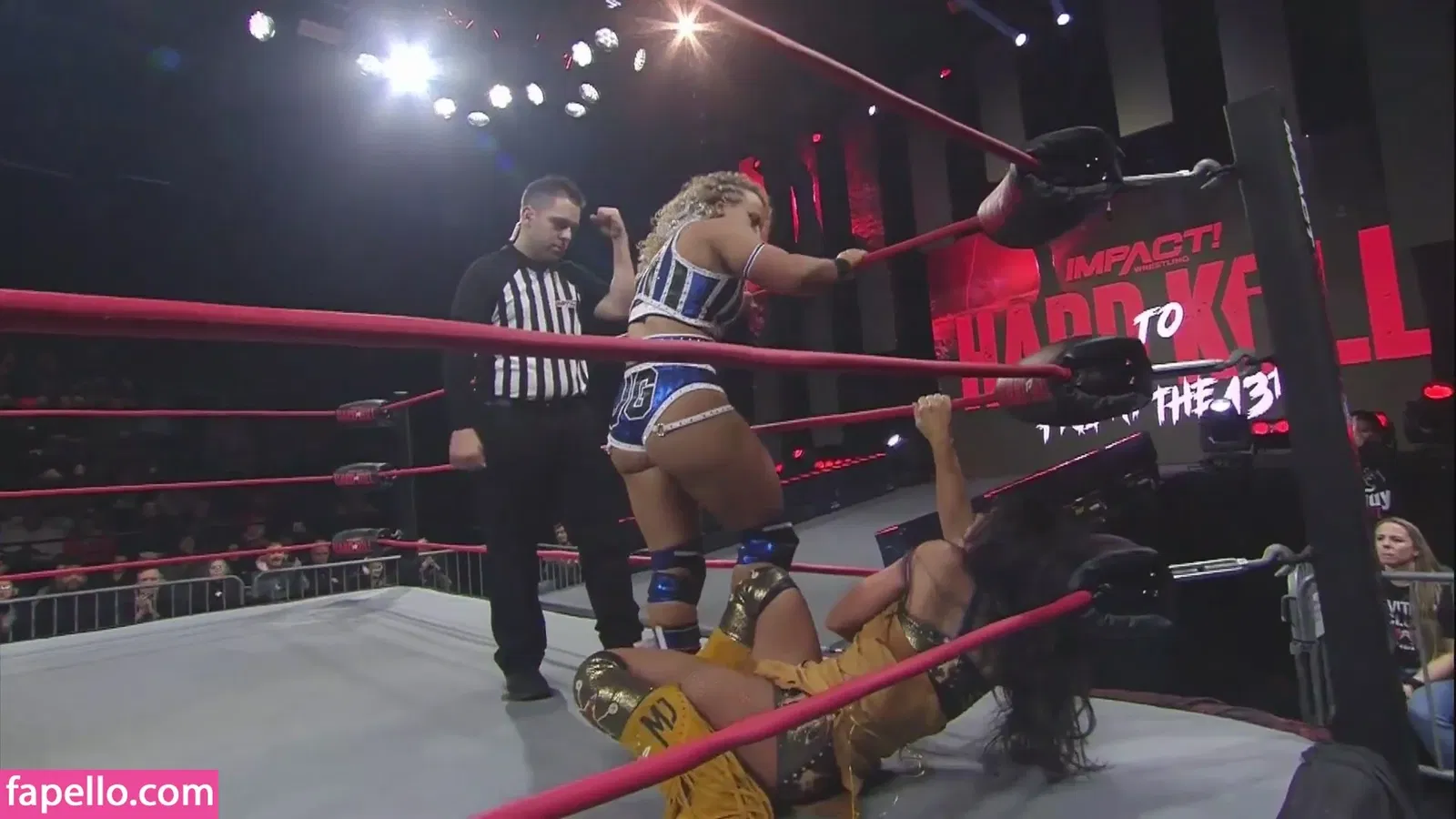 Mickie James / michelejames / themickiejames Onlyfans Photo Gallery 