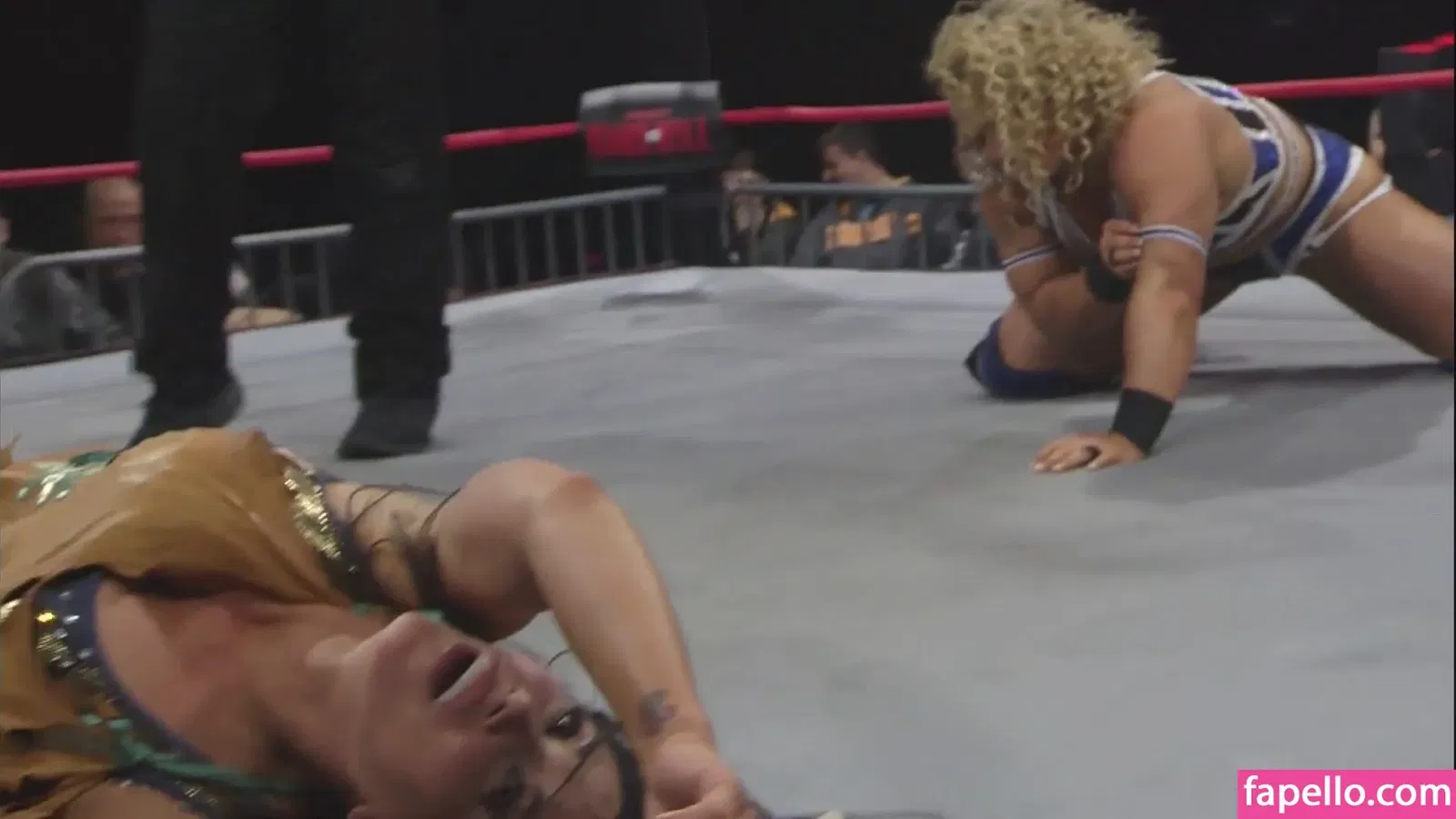 Mickie James / michelejames / themickiejames Onlyfans Photo Gallery 