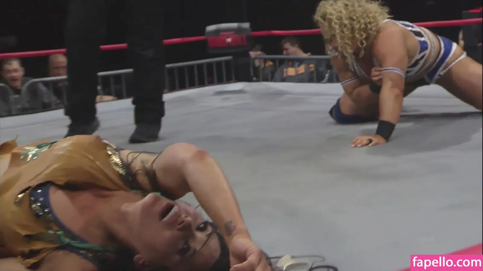 Mickie James / michelejames / themickiejames Onlyfans Photo Gallery 