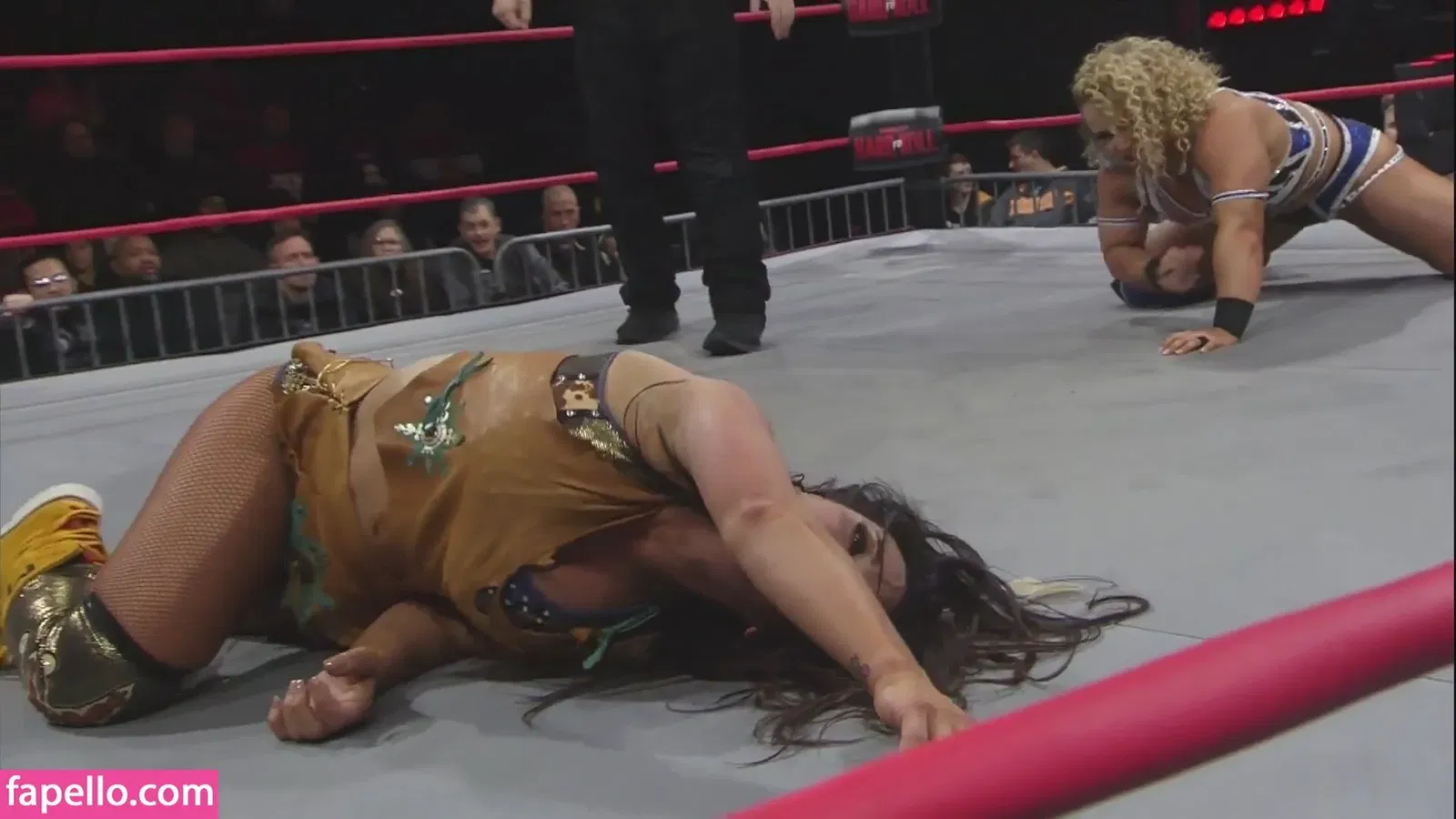 Mickie James / michelejames / themickiejames Onlyfans Photo Gallery 