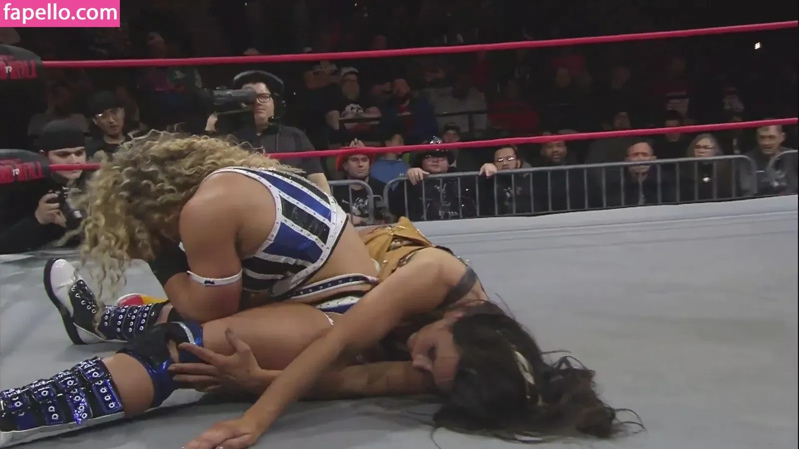 Mickie James / michelejames / themickiejames Onlyfans Photo Gallery 