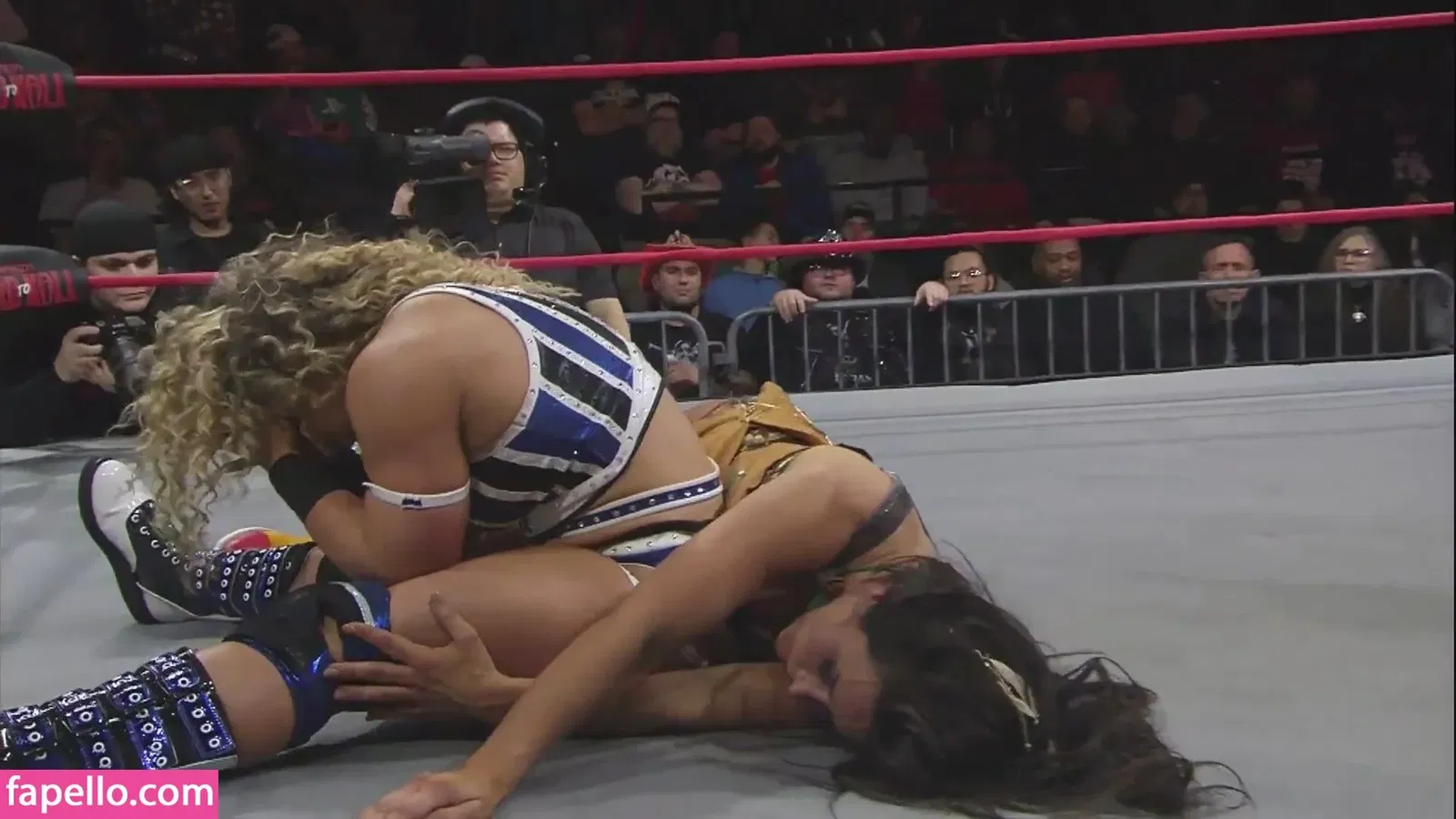 Mickie James / michelejames / themickiejames Onlyfans Photo Gallery 