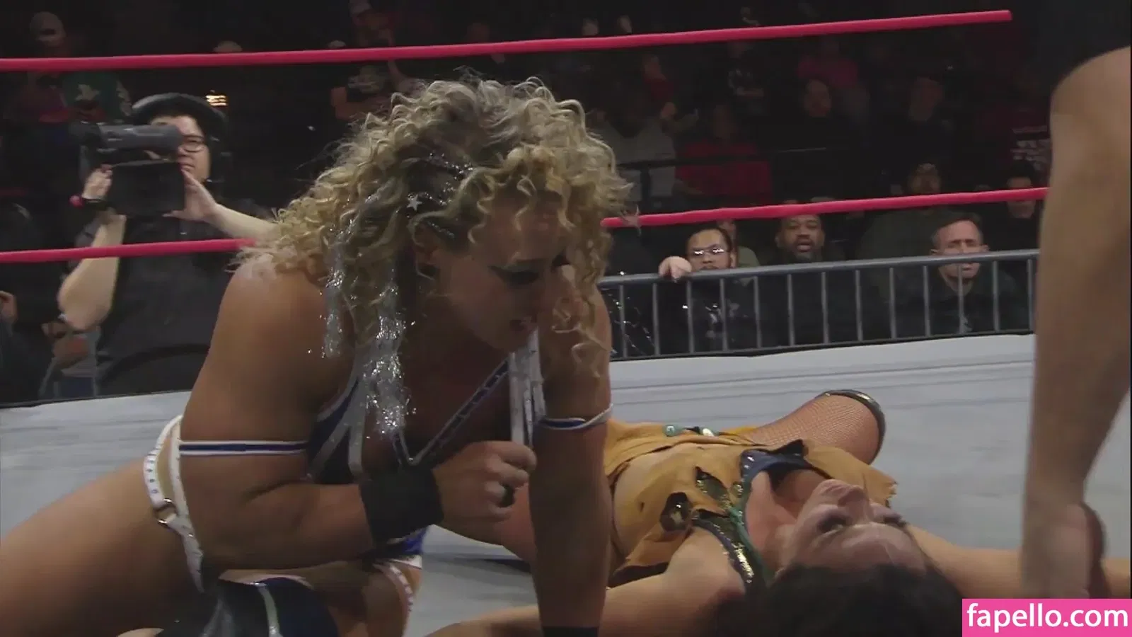 Mickie James / michelejames / themickiejames Onlyfans Photo Gallery 