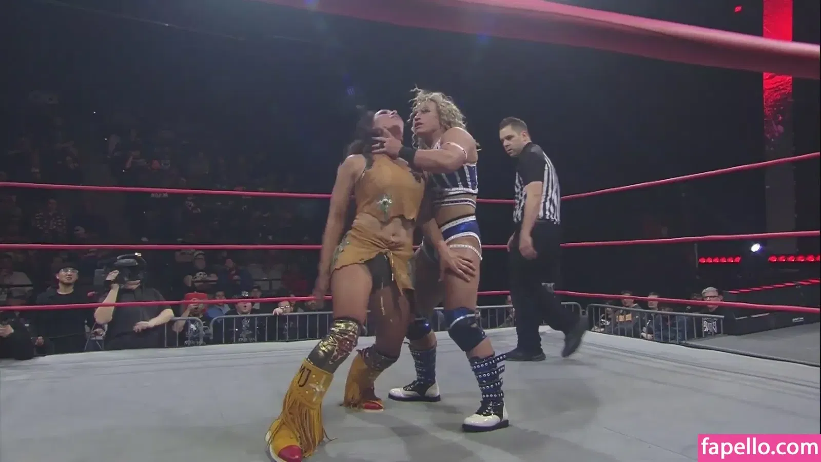 Mickie James / michelejames / themickiejames Onlyfans Photo Gallery 