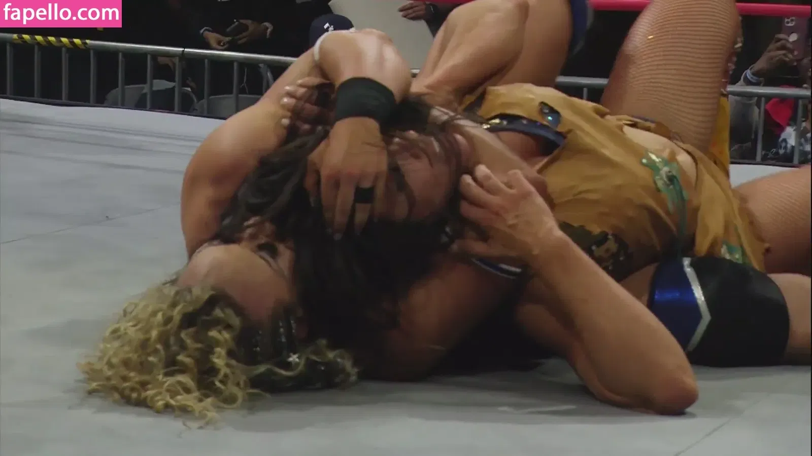 Mickie James / michelejames / themickiejames Onlyfans Photo Gallery 