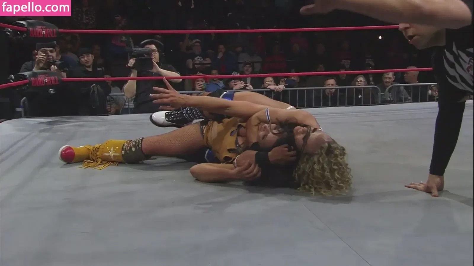 Mickie James / michelejames / themickiejames Onlyfans Photo Gallery 