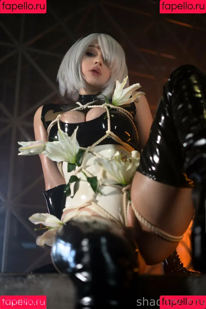 Shadory / Shadorycos / shadory_cos Onlyfans Photo Gallery 