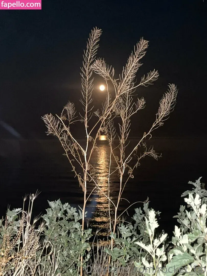 rocket.bb / rocket_bb Onlyfans Photo Gallery 