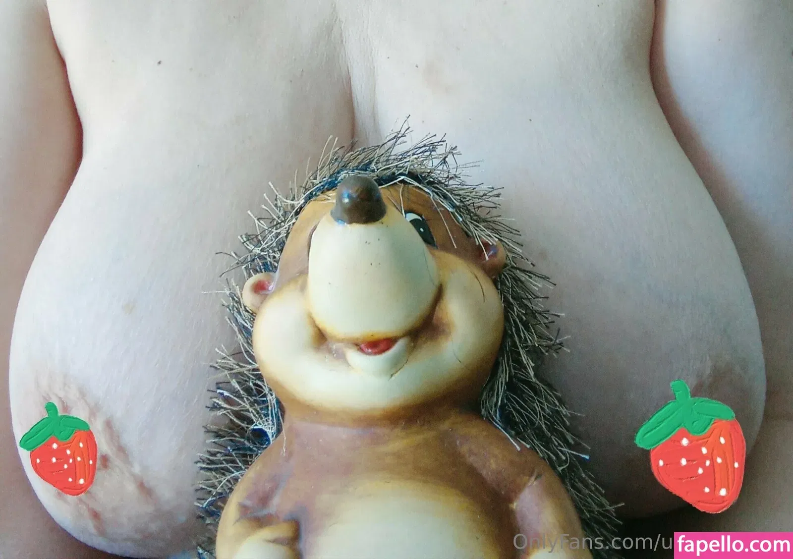 liz_05_dixson / pelsil7782 Onlyfans Photo Gallery 