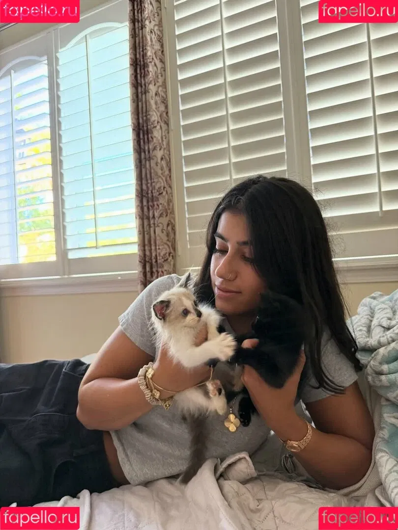 Sara Saffari / sara_saffari / sarasaffari__ Onlyfans Photo Gallery 