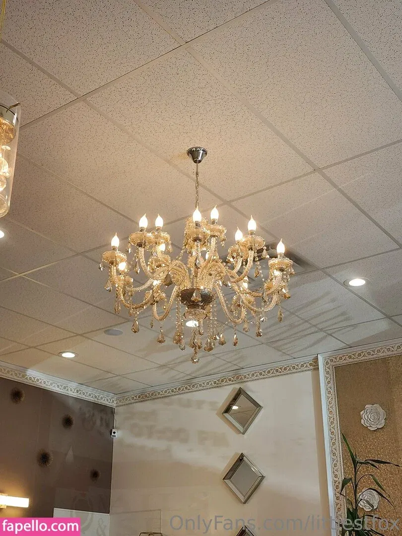 littlefoxstl / littlestfox Onlyfans Photo Gallery 