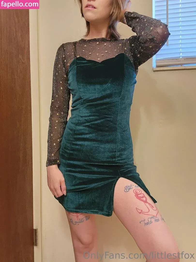 littlefoxstl / littlestfox Onlyfans Photo Gallery 