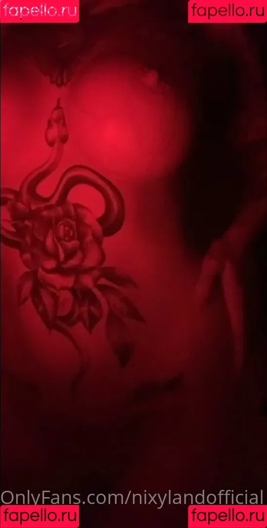 Nixy / eviloldsovl 🦇 / evilsovl / nicole / nixylandofficial Onlyfans Photo Gallery 