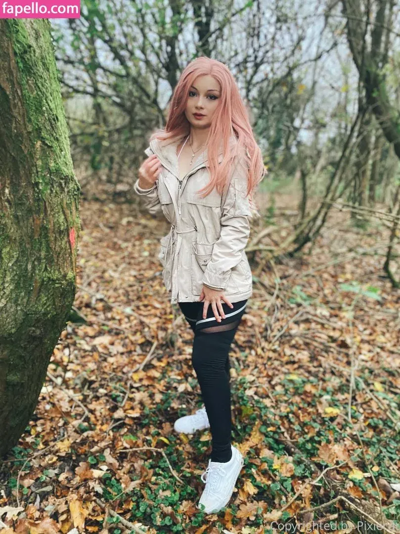 Pixiecat / pixiecatofficial / pixiiecat Onlyfans Photo Gallery 
