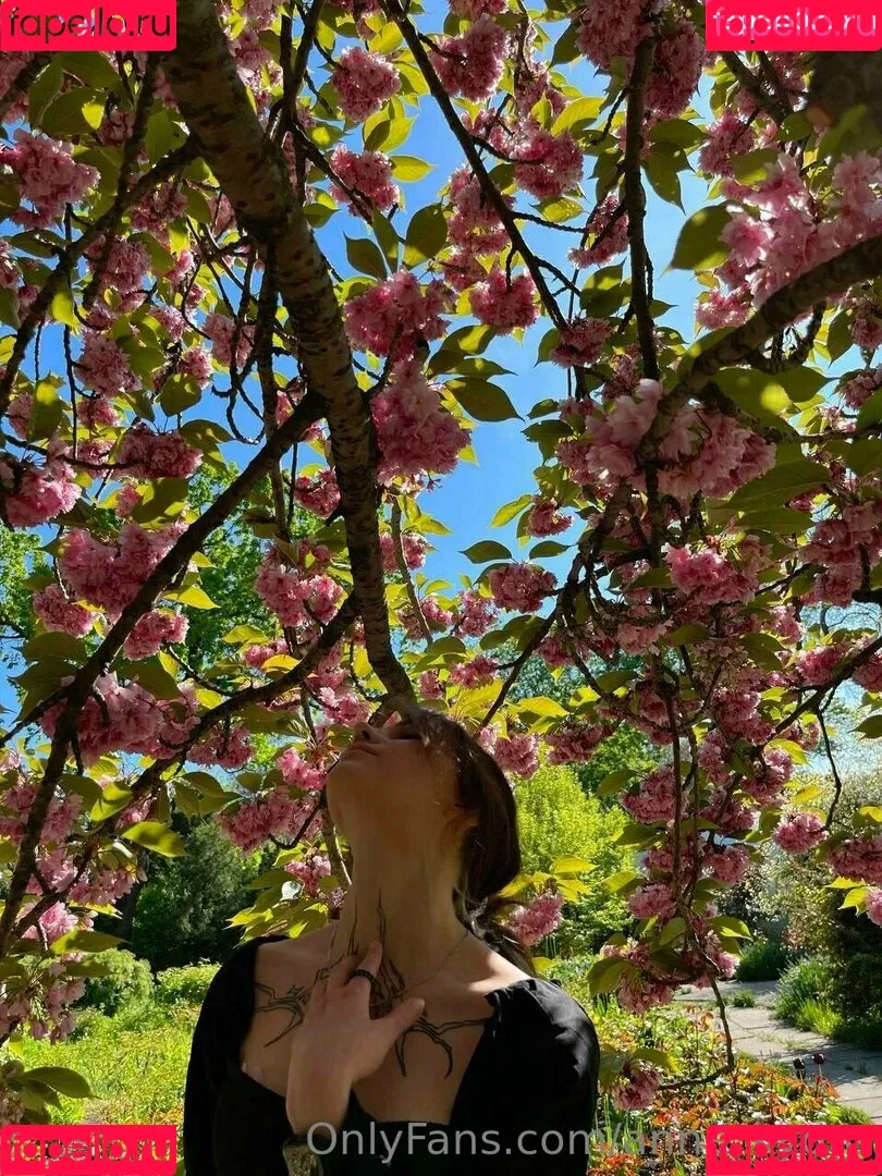 anna_kyoto / kyoto_gun Onlyfans Photo Gallery 
