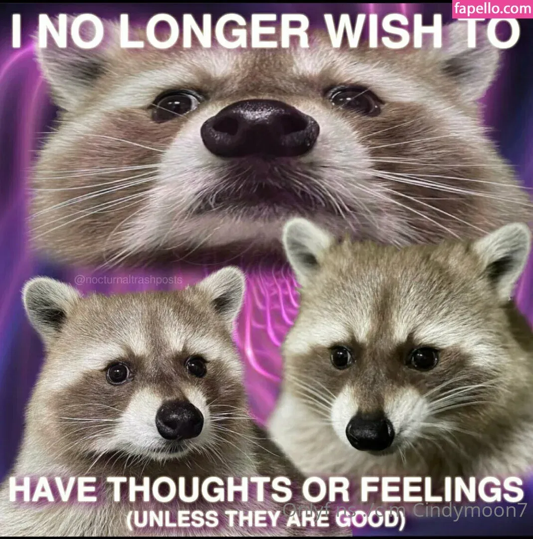 cindymoon007 / cindymoon7 Onlyfans Photo Gallery 