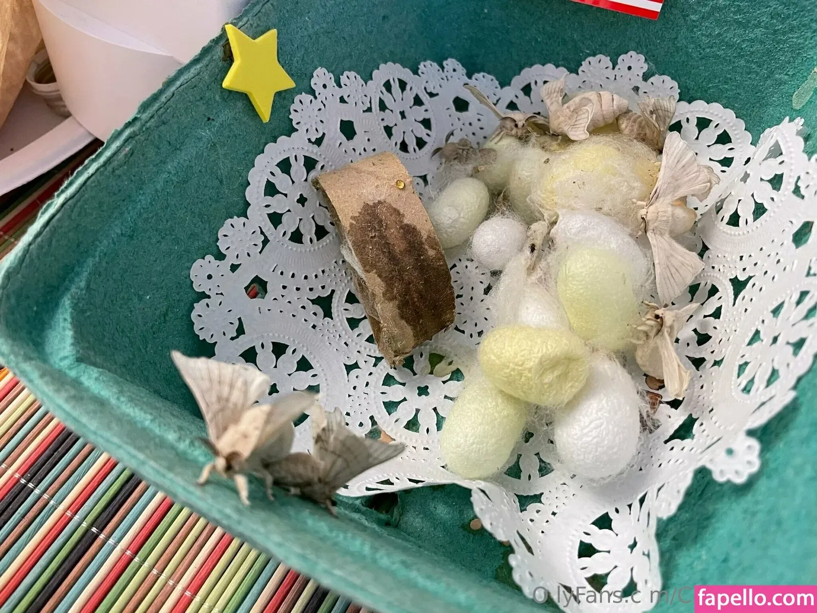 cindymoon007 / cindymoon7 Onlyfans Photo Gallery 