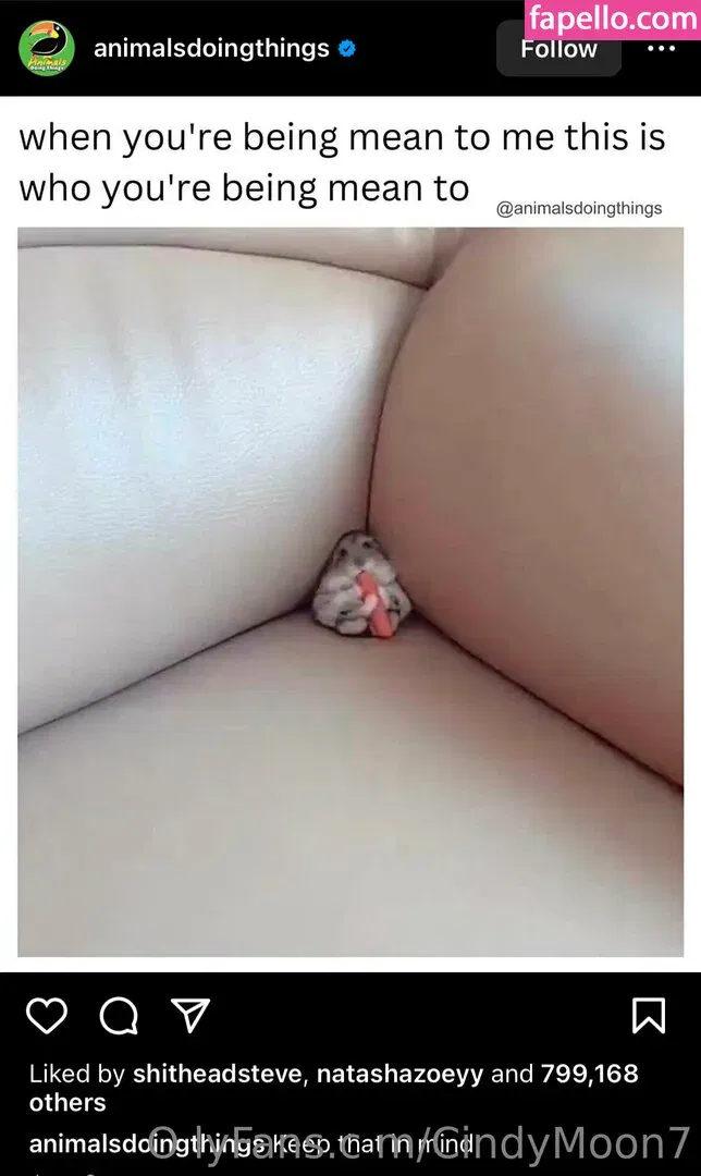 cindymoon007 / cindymoon7 Onlyfans Photo Gallery 