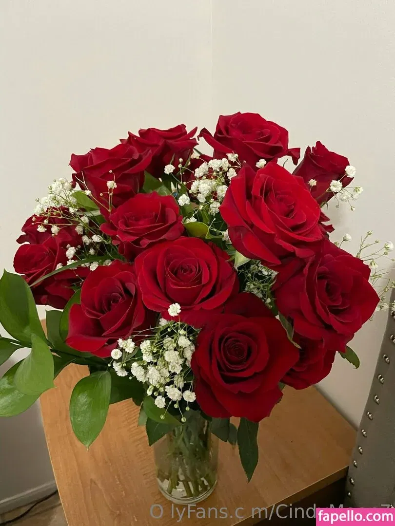 cindymoon007 / cindymoon7 Onlyfans Photo Gallery 