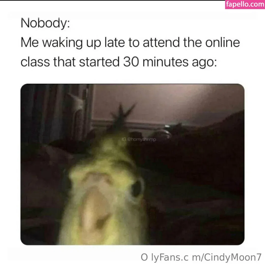 cindymoon007 / cindymoon7 Onlyfans Photo Gallery 