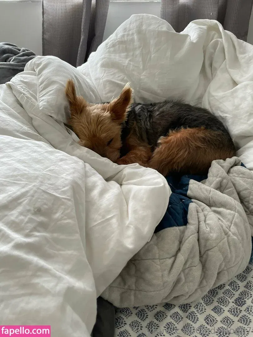 cindymoon007 / cindymoon7 Onlyfans Photo Gallery 