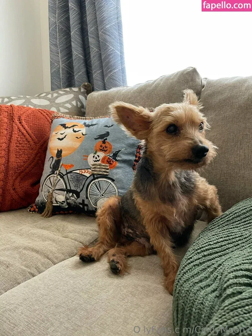 cindymoon007 / cindymoon7 Onlyfans Photo Gallery 