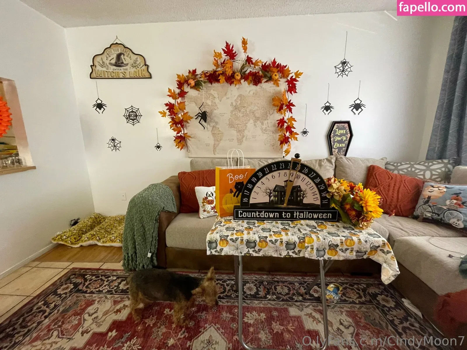 cindymoon007 / cindymoon7 Onlyfans Photo Gallery 