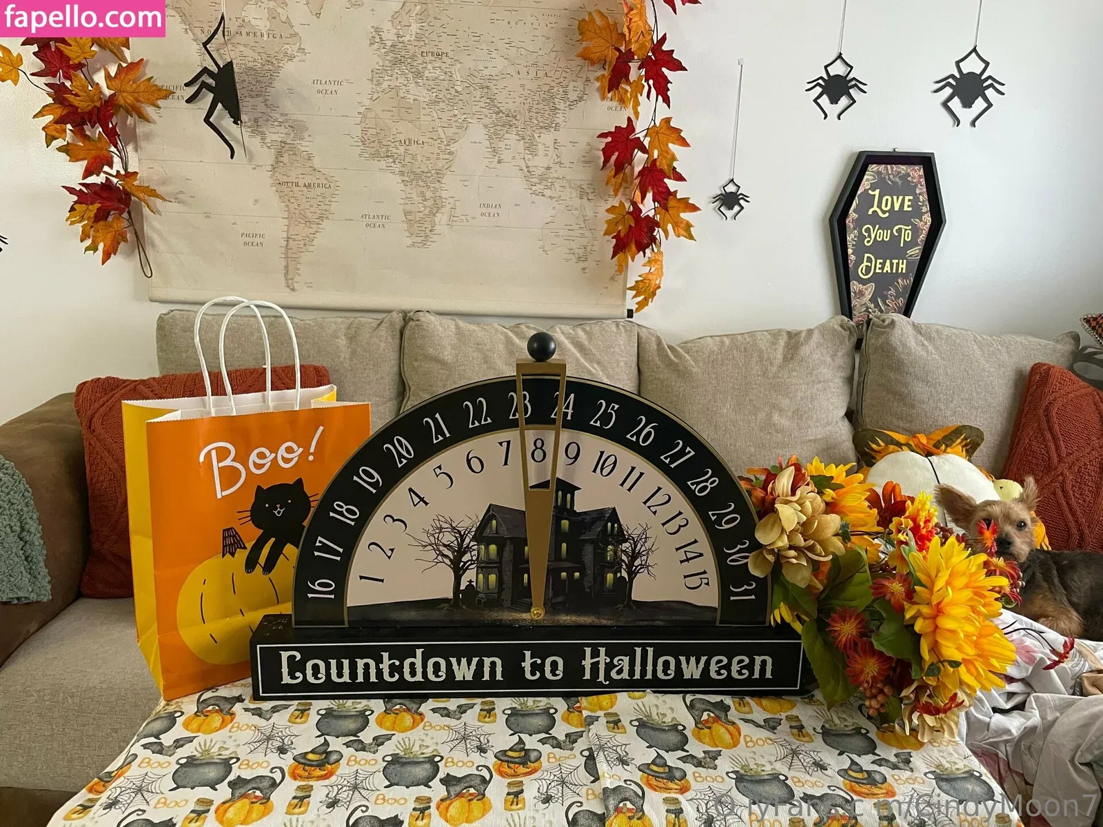 cindymoon007 / cindymoon7 Onlyfans Photo Gallery 