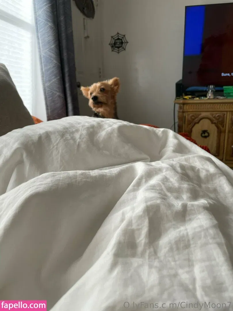 cindymoon007 / cindymoon7 Onlyfans Photo Gallery 