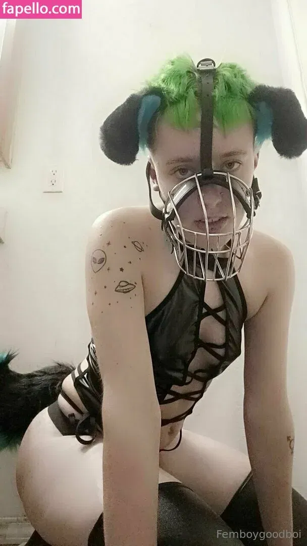 brattypuppybite / brattypuppyyy Onlyfans Photo Gallery 