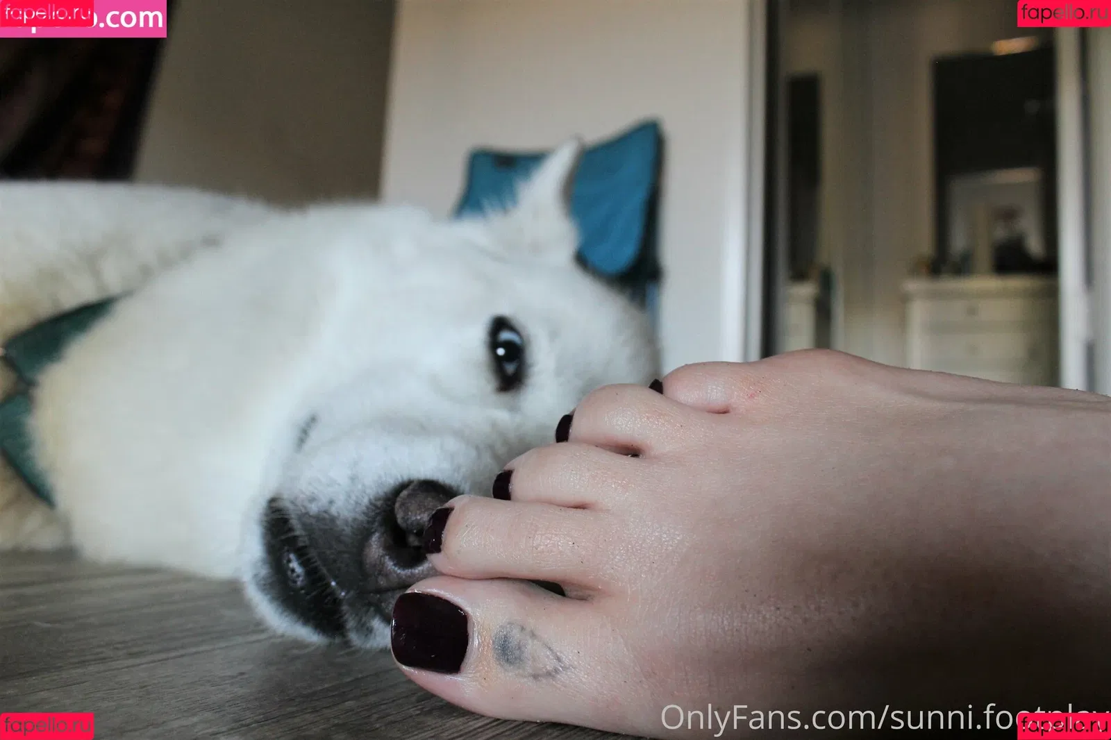 sunni.footplay / sunni.soless Onlyfans Photo Gallery 