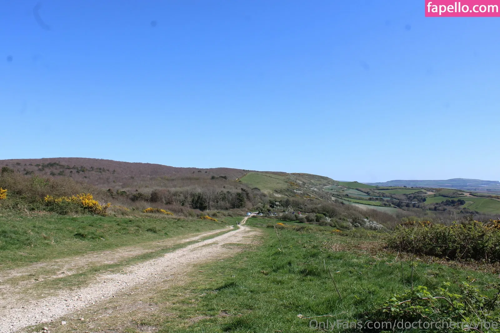 doctorcherryvibe Onlyfans Photo Gallery 