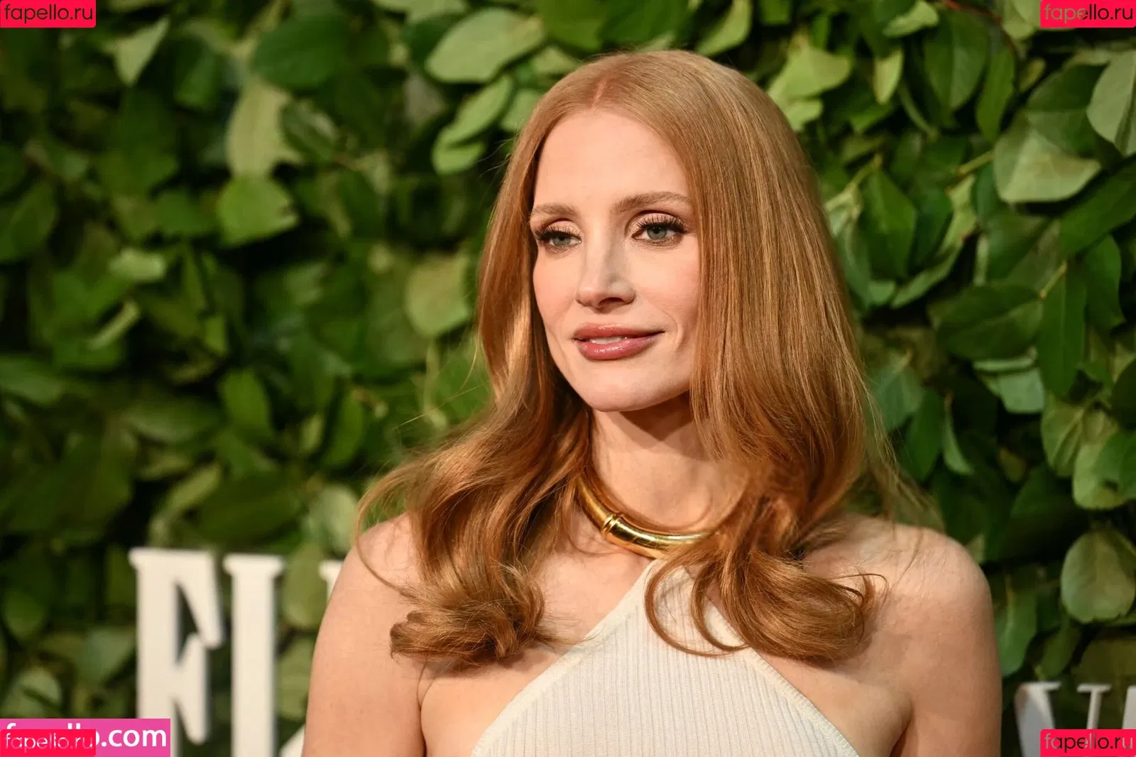 Jessica Chastain / jessicachastain Onlyfans Photo Gallery 