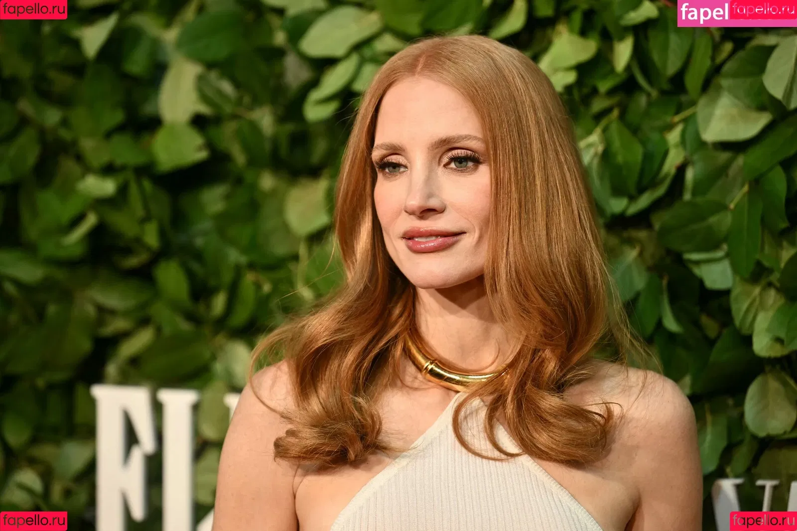 Jessica Chastain / jessicachastain Onlyfans Photo Gallery 