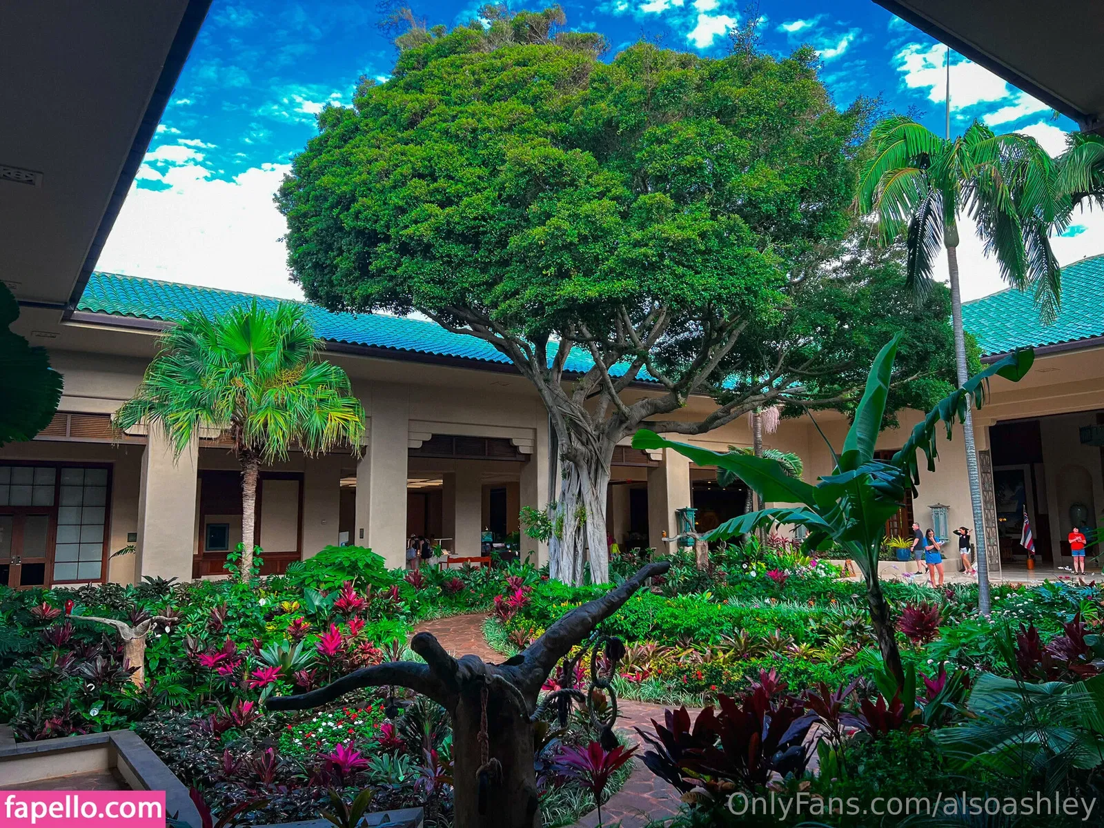 AlsoAshley / AlsoAshleyB / Ashely Barron Onlyfans Photo Gallery 