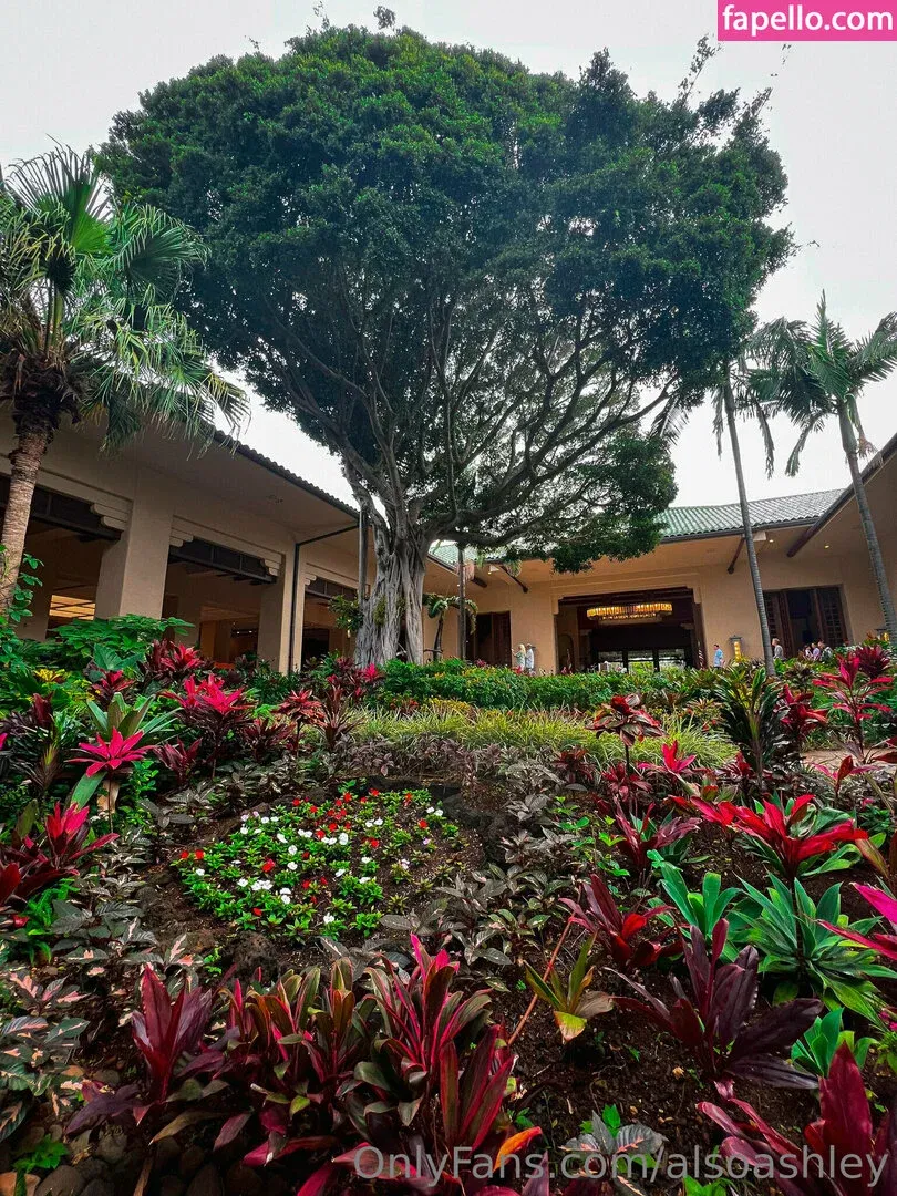 AlsoAshley / AlsoAshleyB / Ashely Barron Onlyfans Photo Gallery 