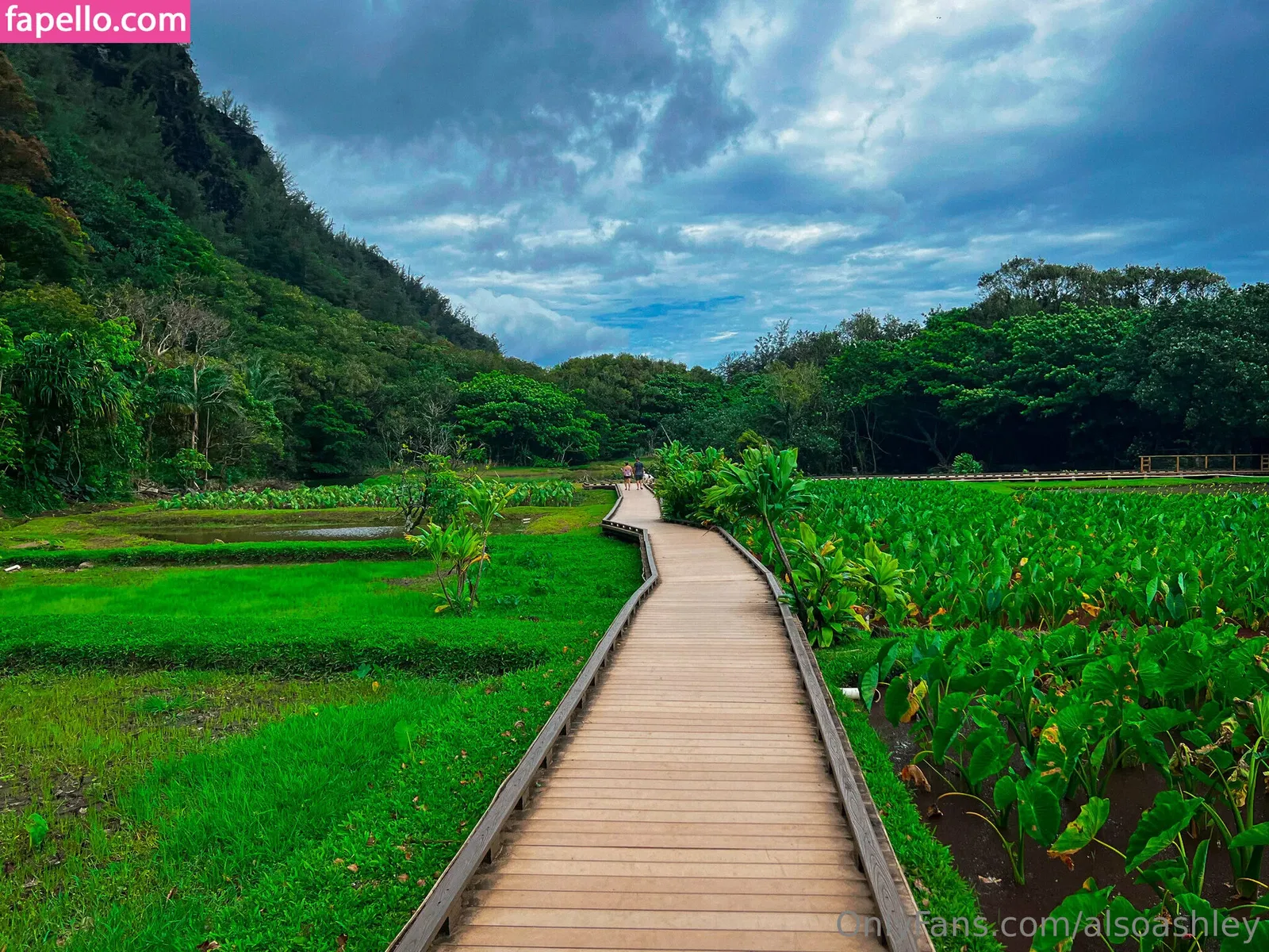 AlsoAshley / AlsoAshleyB / Ashely Barron Onlyfans Photo Gallery 