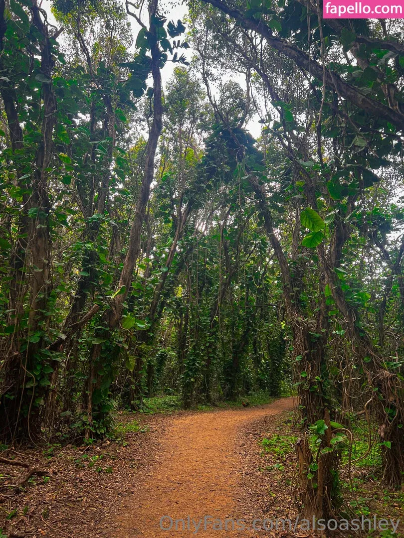 AlsoAshley / AlsoAshleyB / Ashely Barron Onlyfans Photo Gallery 