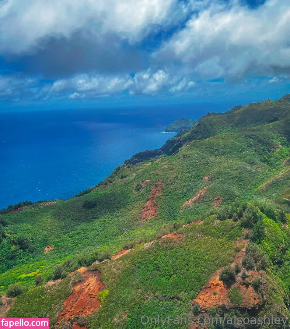 AlsoAshley / AlsoAshleyB / Ashely Barron Onlyfans Photo Gallery 