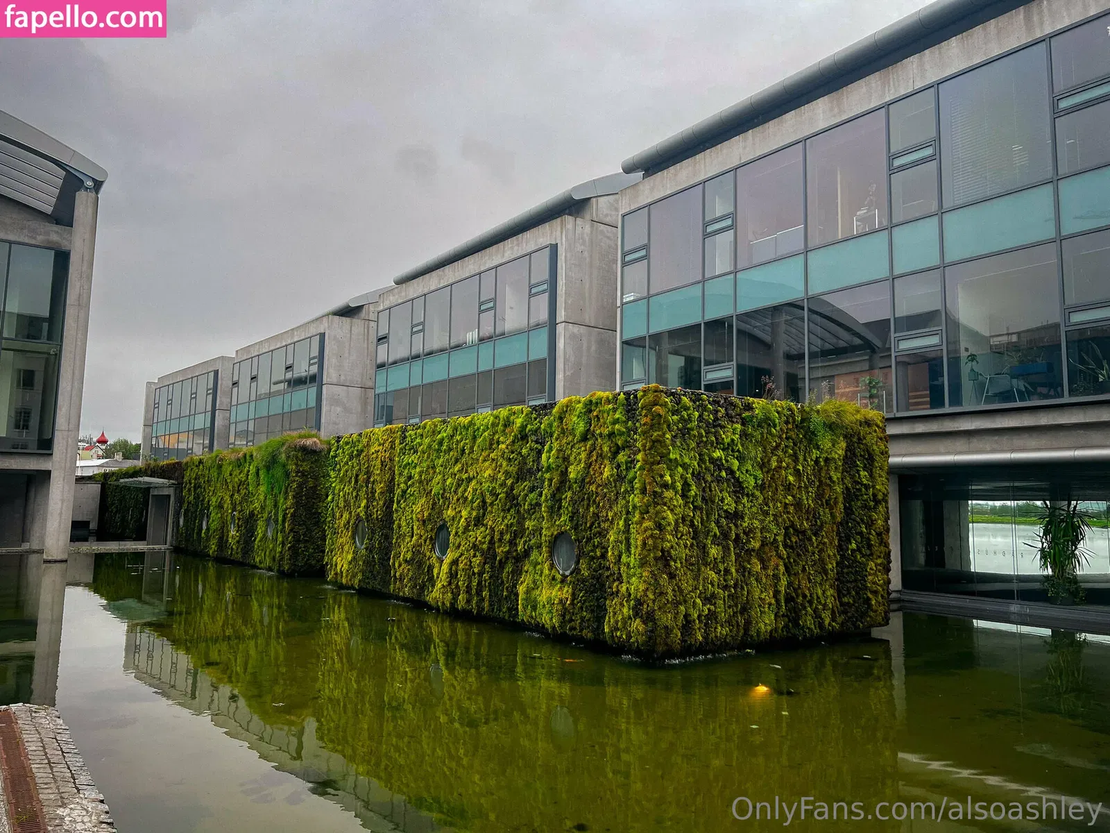 AlsoAshley / AlsoAshleyB / Ashely Barron Onlyfans Photo Gallery 