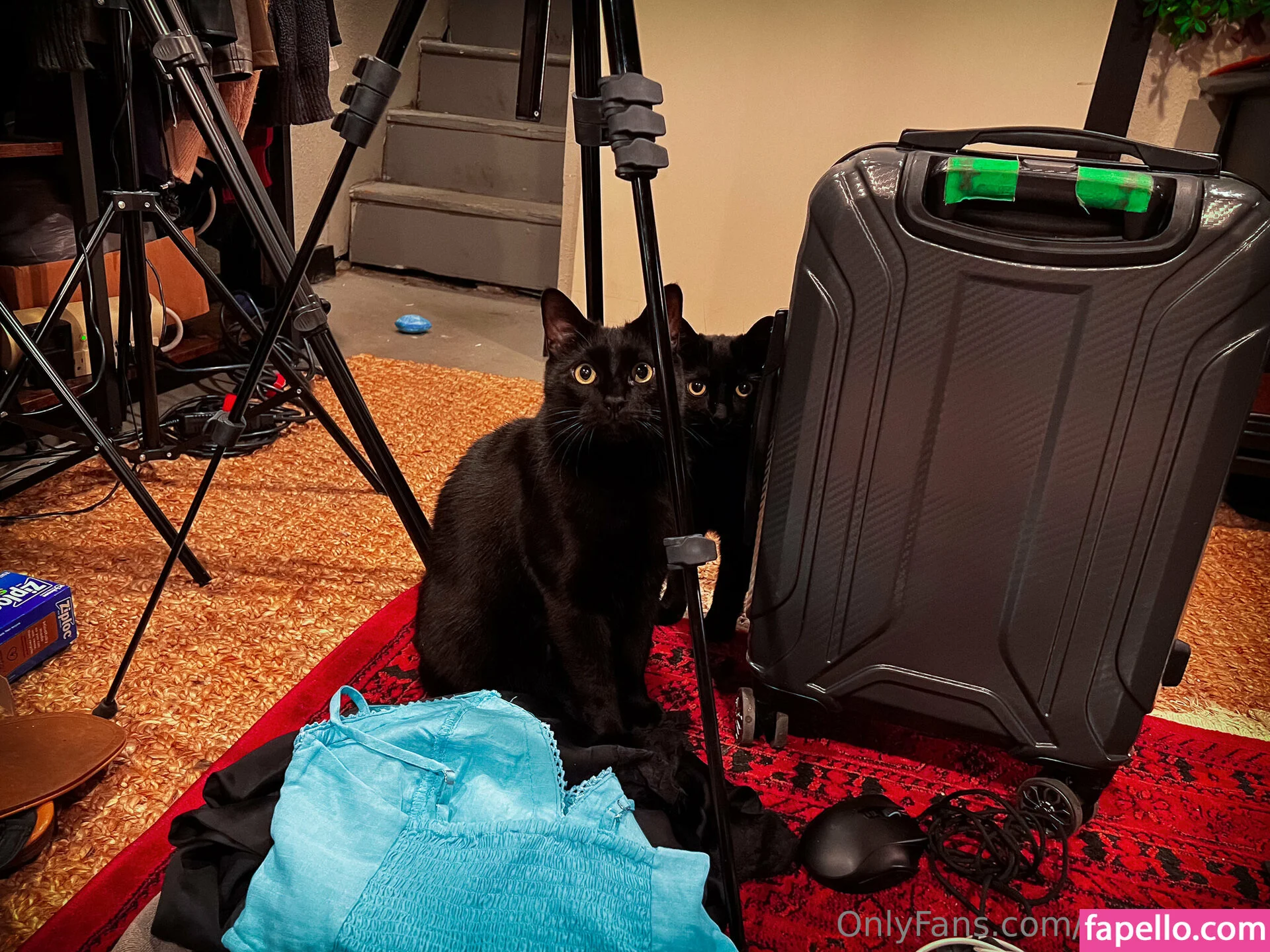 AlsoAshley / AlsoAshleyB / Ashely Barron Onlyfans Photo Gallery 