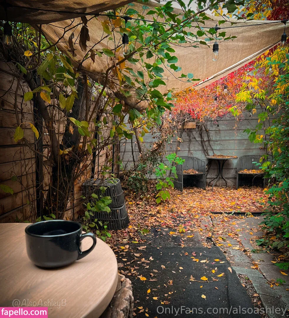 AlsoAshley / AlsoAshleyB / Ashely Barron Onlyfans Photo Gallery 